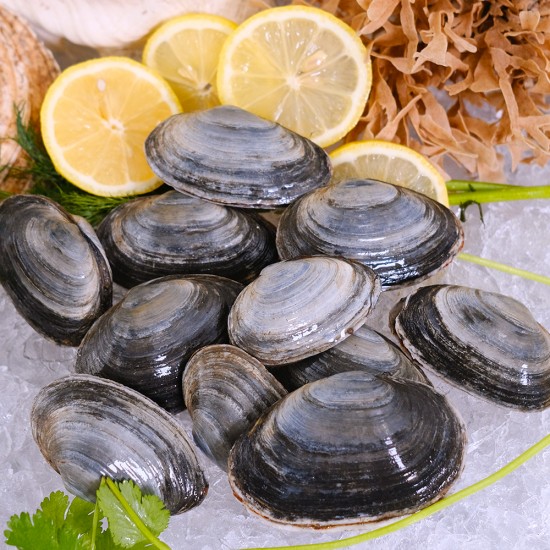  Clams in Shell - 1 lb