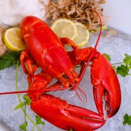  Market Lobster (Cooked) - Market Price
